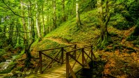 hiking trails walking routes bulgaria