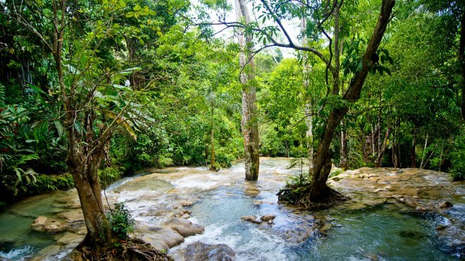 Caribbean Hiking / Hiking in Jamaica - Waterfall Hike