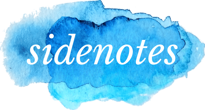 Sidenotes: Facts and Thoughts Beyond Travel