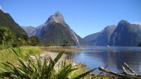 fiordland