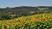 hiking trails walking routes france