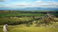 hiking trails walking routes australia