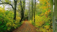 hiking trails walking routes czechia