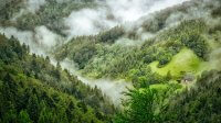 hiking trails walking routes germany