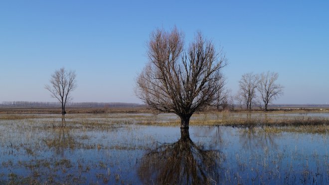 travel alone hungary