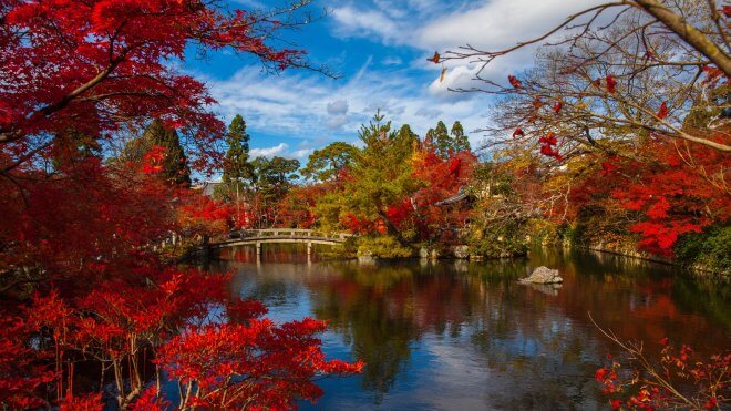 travel alone japan