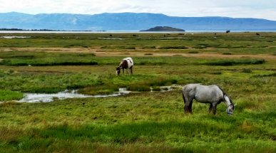 El Calafate Landscape, Argentine Patagonia