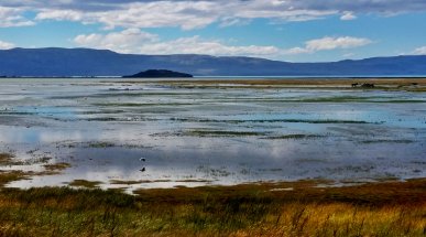 El Calafate Landscape, Argentine Patagonia