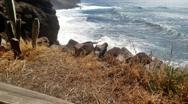 La Gomera Coastline, Canary Islands, Spain