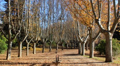 Parque del Oeste, Madrid, Spain
