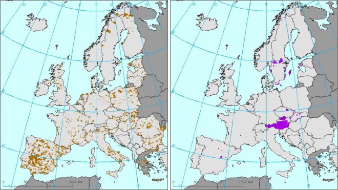 Important Bird Areas and Prime Butterfly Areas