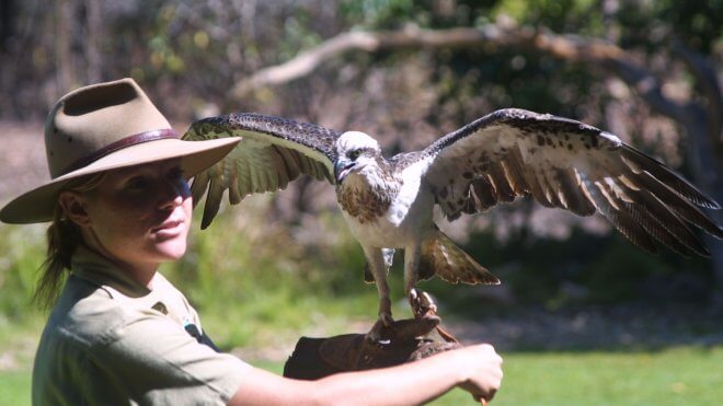 Territory Wildlife Park