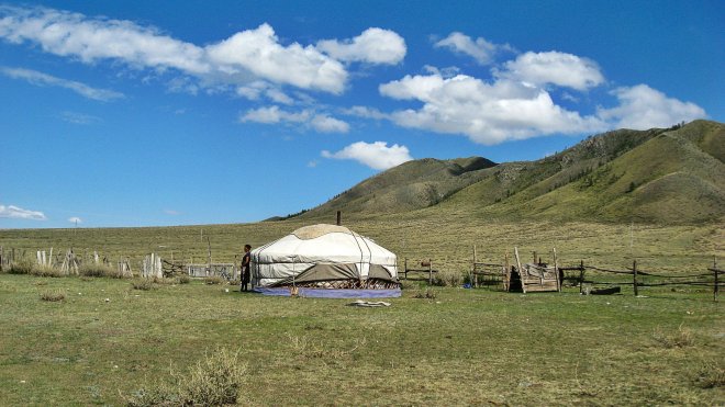 Volunteer Abroad in Mongolia