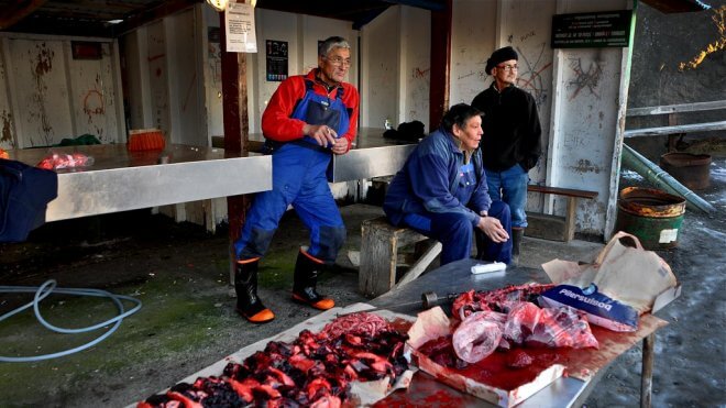 Hunters Selling the Catch of the Day