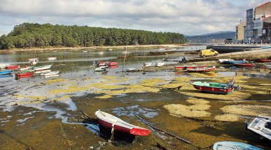 Low Tide in the Port of Carril, Galicia, Spain