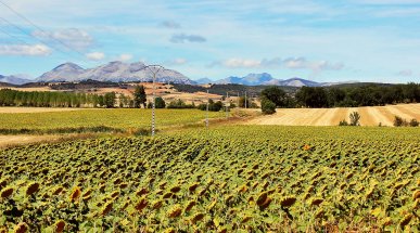 Countryside Landscape near Palencia, Spain
