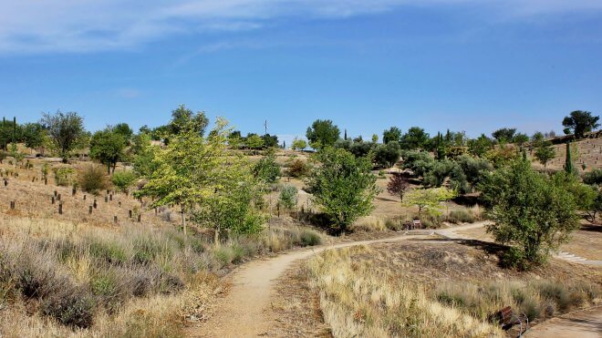 Visit Valladolid's Urban Forest Park (Cerro de las Contiendas)