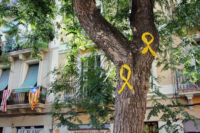 Catalan Independence in Barcelona - The Trees, Silent Witnesses...