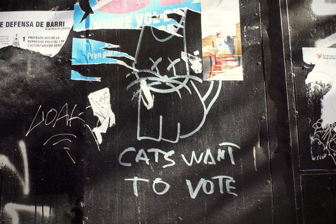 Catalan Independence in Barcelona - Yep, Even Cats Want to Vote!