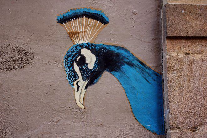 Street Art in Barcelona: Royal Peacock