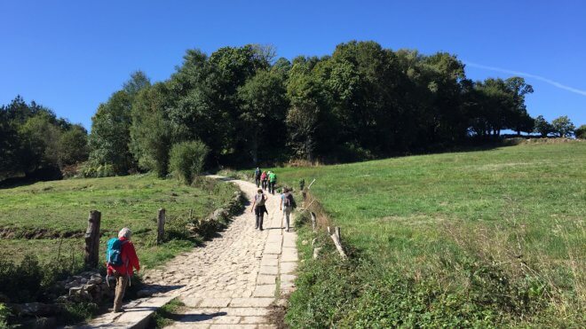 To Each Their Own Camino de Santiago